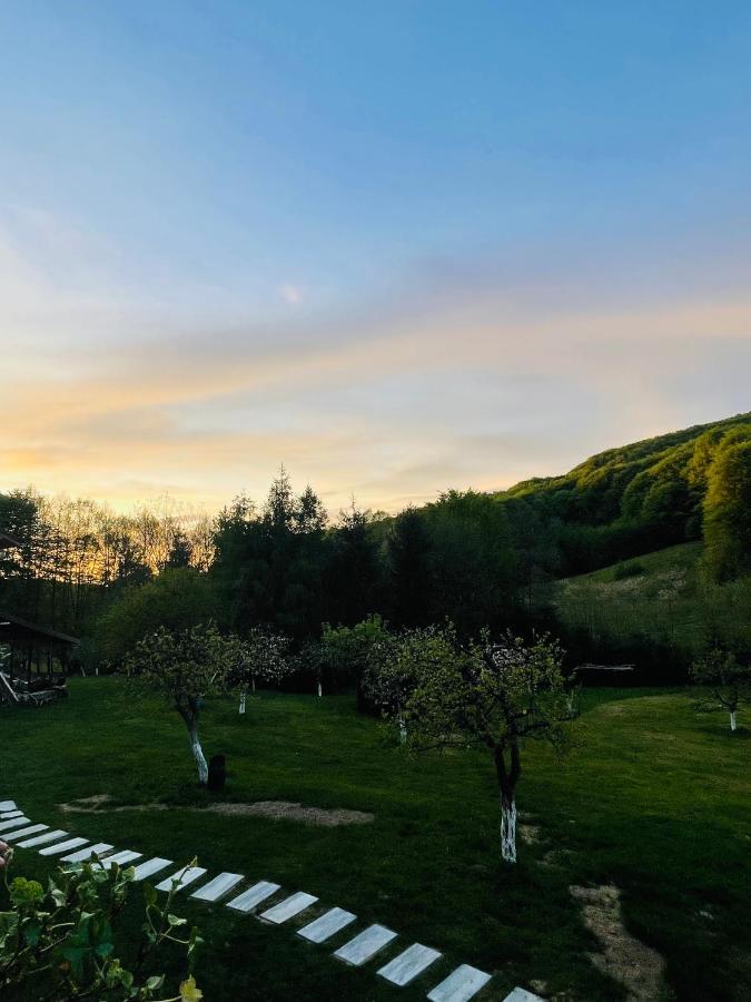 Pensiunea " La Papa" Huta Certeze Exterior foto