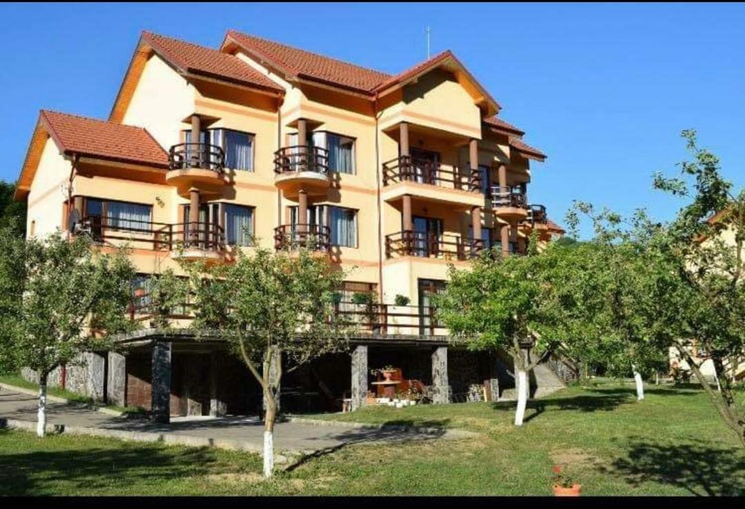 Pensiunea " La Papa" Huta Certeze Exterior foto