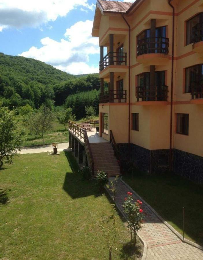 Pensiunea " La Papa" Huta Certeze Exterior foto